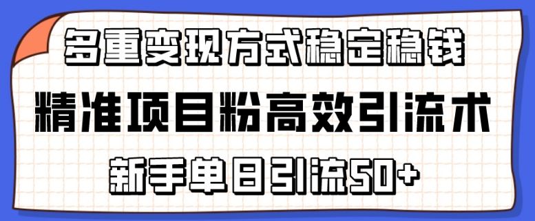 精准项目粉高效引流术，新手单日引流50+，多重变现方式稳定赚钱【揭秘】-蓝天项目网