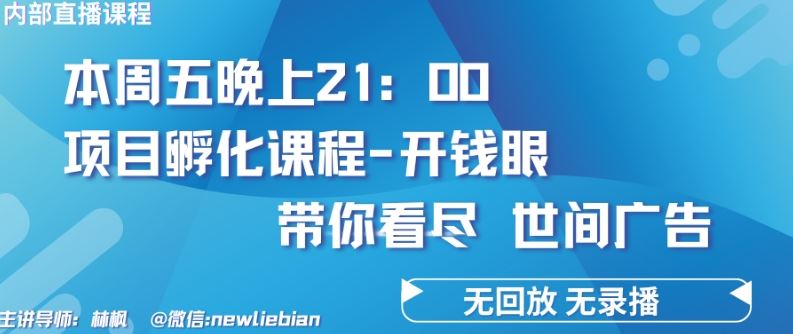 4.26日内部回放课程《项目孵化-开钱眼》赚钱的底层逻辑【揭秘】-蓝天项目网