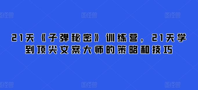 21天《子弹秘密》训练营，21天学到顶尖文案大师的策略和技巧-蓝天项目网