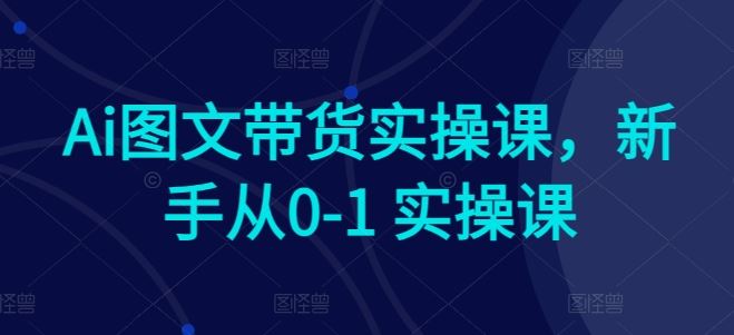 Ai图文带货实操课，新手从0-1 实操课-蓝天项目网