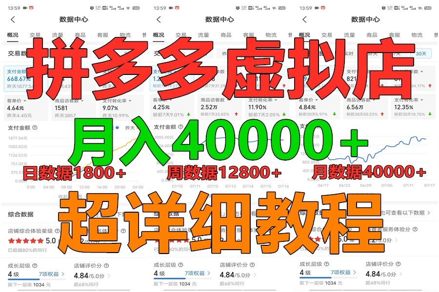 拼多多虚拟电商训练营月入40000+，全网最详细，你做你也行，暴利稳定长久-蓝天项目网