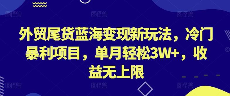 外贸尾货蓝海变现新玩法，冷门暴利项目，单月轻松3W+，收益无上限【揭秘】-蓝天项目网