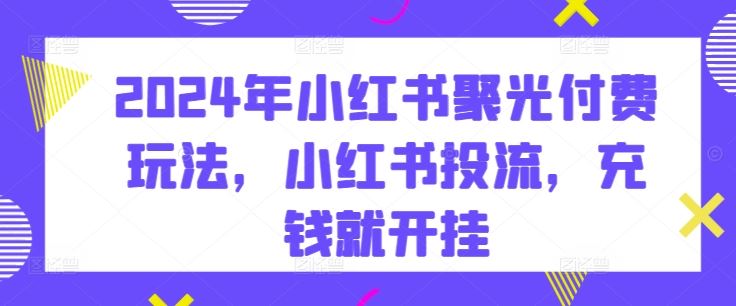 2024年小红书聚光付费玩法，小红书投流，充钱就开挂-蓝天项目网