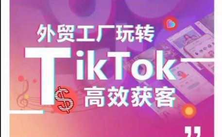 外贸工厂玩转TikTok高效获客，多种引流方式与账号定位技巧，拆解爆款短视频打造成功案例-蓝天项目网