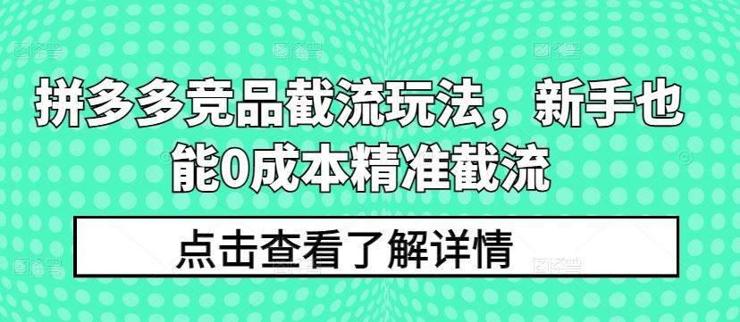 拼多多竞品截流玩法，新手也能0成本精准截流-蓝天项目网