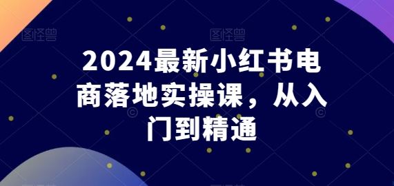 2024最新小红书电商落地实操课，从入门到精通-蓝天项目网