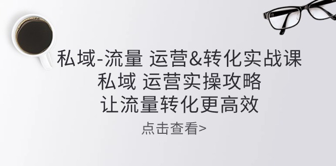 私域流量运营&转化实操课：私域运营实操攻略，让流量转化更高效-蓝天项目网