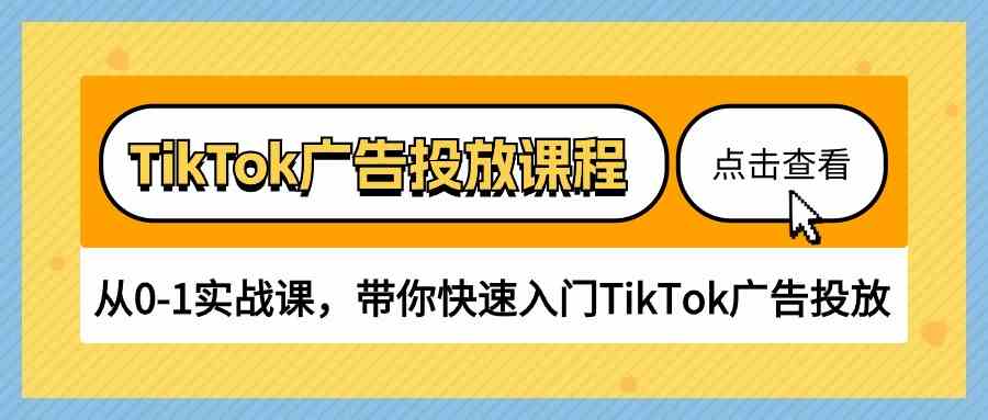 TikTok广告投放课程，从0-1实战课，带你快速入门TikTok广告投放（30节课）-蓝天项目网