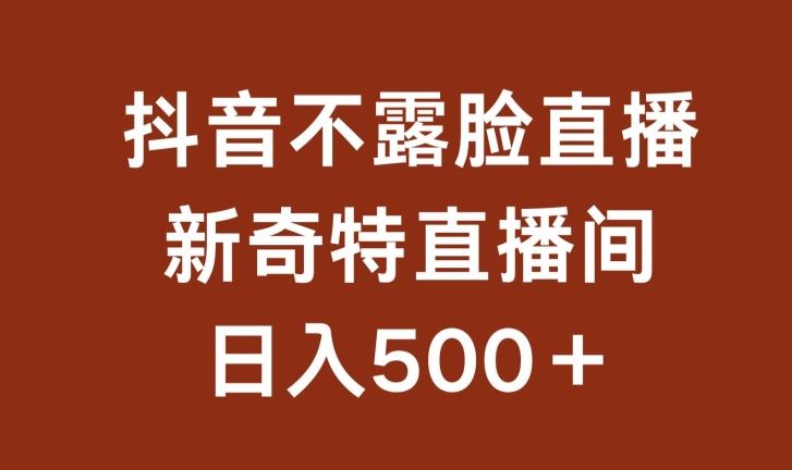 不露脸挂机直播，新奇特直播间，日入500+【揭秘】-蓝天项目网