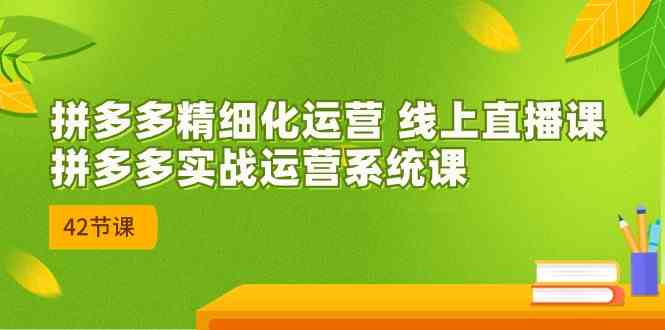 拼多多精细化运营 线上直播课：拼多多实战运营系统课（更新47节）-蓝天项目网