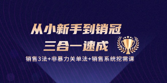 从小新手到销冠三合一速成：销售3法+非暴力关单法+销售系统挖需课 (27节)-蓝天项目网