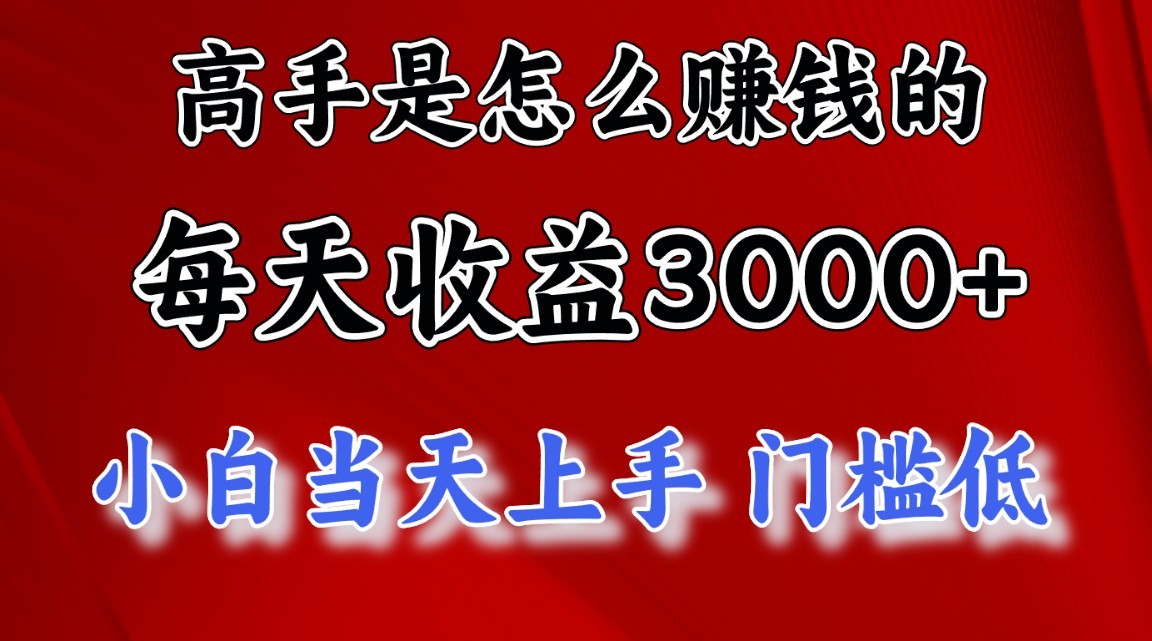 高手是怎么赚钱的，一天收益3000+，闷声发财项目，不是一般人能看懂的-蓝天项目网