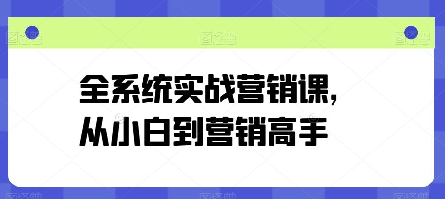 全系统实战营销课，从小白到营销高手-蓝天项目网