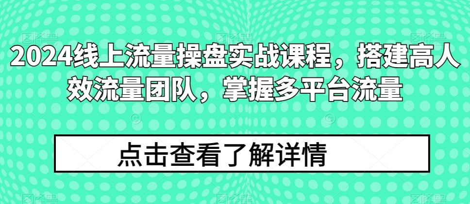 2024线上流量操盘实战课程，搭建高人效流量团队，掌握多平台流量-蓝天项目网