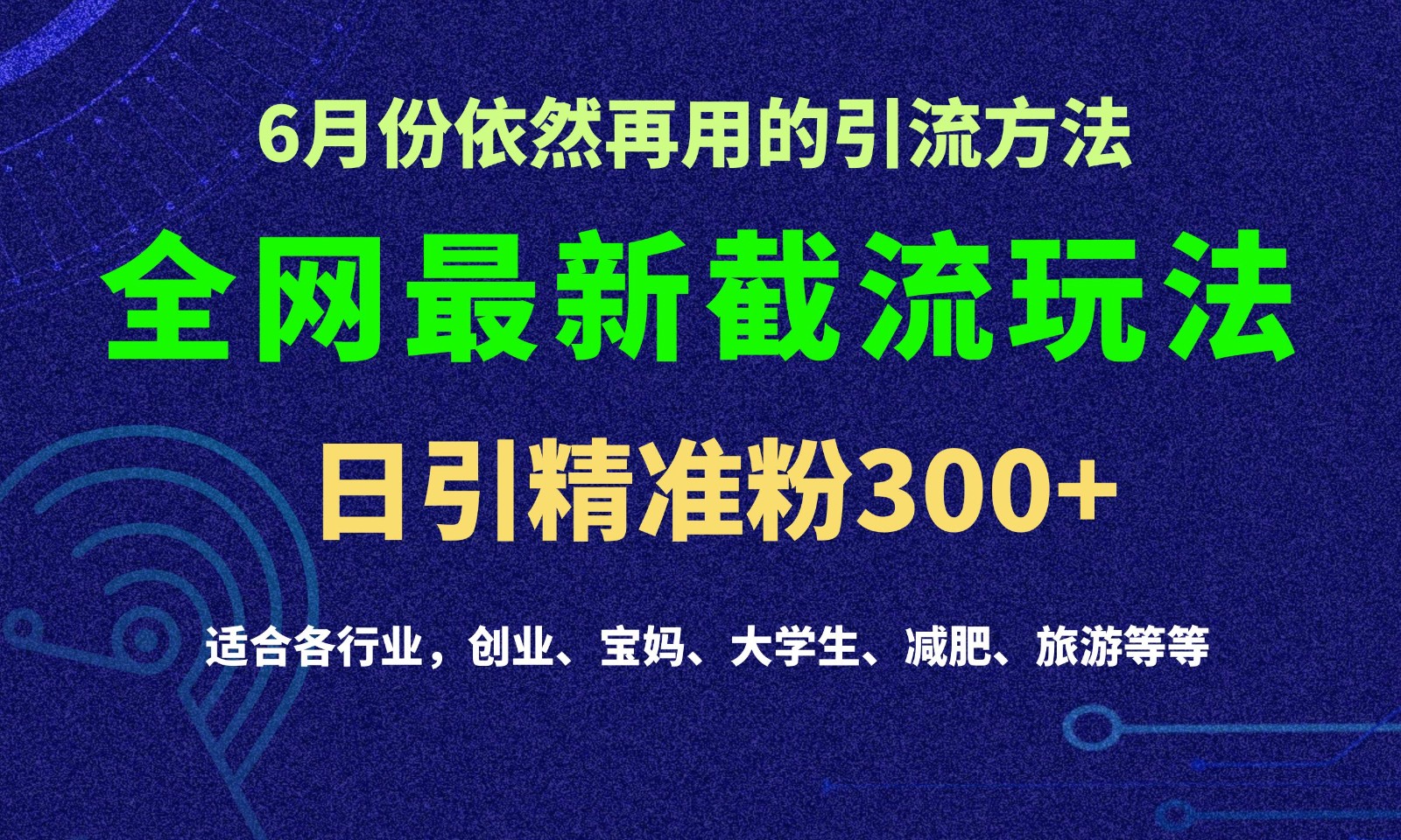 2024全网最新截留玩法，每日引流突破300+-蓝天项目网