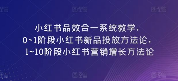 小红书品效合一系统教学，​0~1阶段小红书新品投放方法论，​1~10阶段小红书营销增长方法论-蓝天项目网