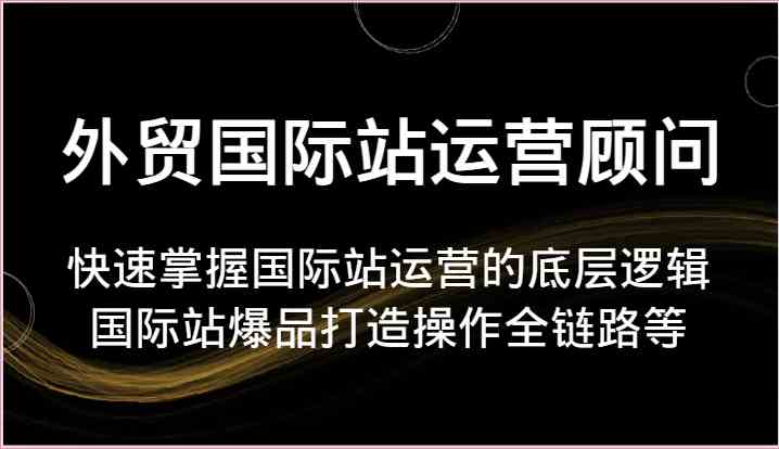 外贸国际站运营顾问-快速掌握国际站运营的底层逻辑，国际站爆品打造操作全链路等-蓝天项目网