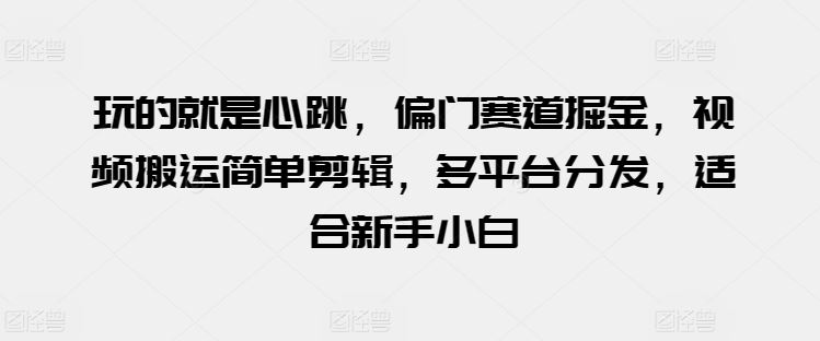 玩的就是心跳，偏门赛道掘金，视频搬运简单剪辑，多平台分发，适合新手小白【揭秘】-蓝天项目网