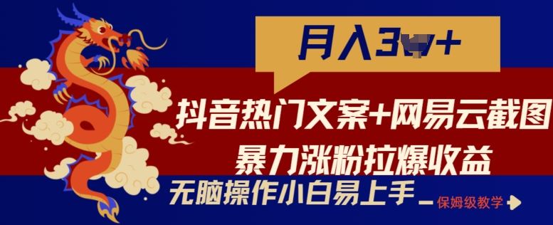 抖音热门文案+网易云截图暴力涨粉拉爆收益玩法，小白无脑操作，简单易上手【揭秘】-蓝天项目网