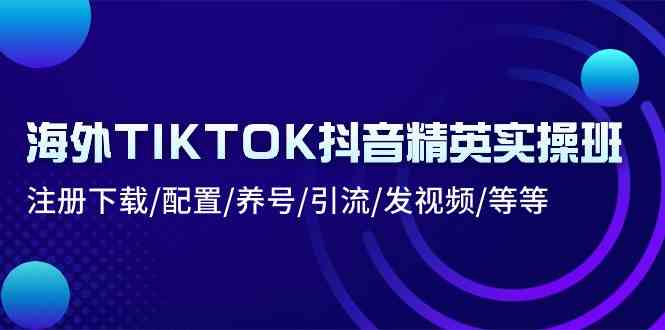 海外TIKTOK抖音精英实操班：注册下载/配置/养号/引流/发视频/等等-蓝天项目网