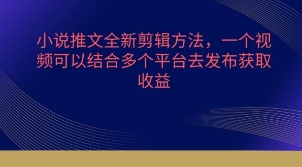 小说推文全新剪辑方法，一个视频可以结合多个平台去发布获取【揭秘】-蓝天项目网