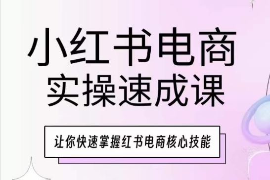 小红书电商实操速成课，让你快速掌握红书电商核心技能-蓝天项目网