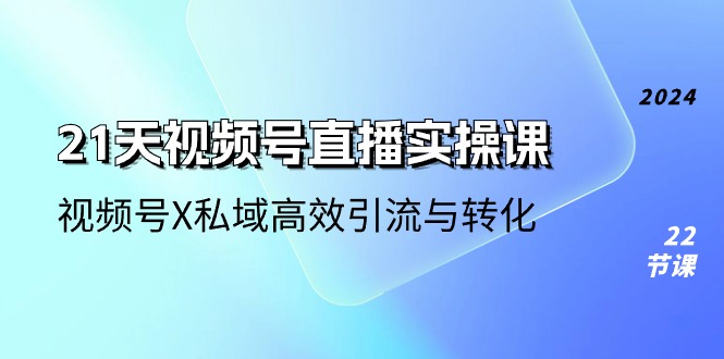 21天视频号直播实操课，视频号X私域高效引流与转化（22节课）-蓝天项目网