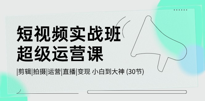 短视频实战班超级运营课 |剪辑|拍摄|运营|直播|变现 小白到大神 (30节)-蓝天项目网