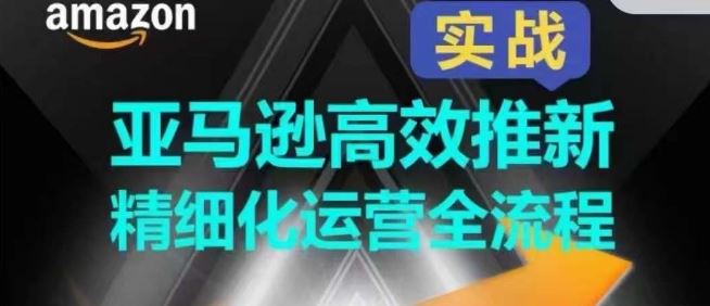 亚马逊高效推新精细化运营全流程，全方位、快速拉升产品排名和销量!-蓝天项目网