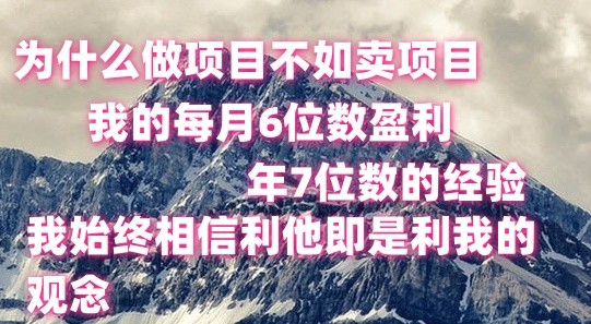 做项目不如卖项目，每月6位数盈利，年7位数经验-蓝天项目网