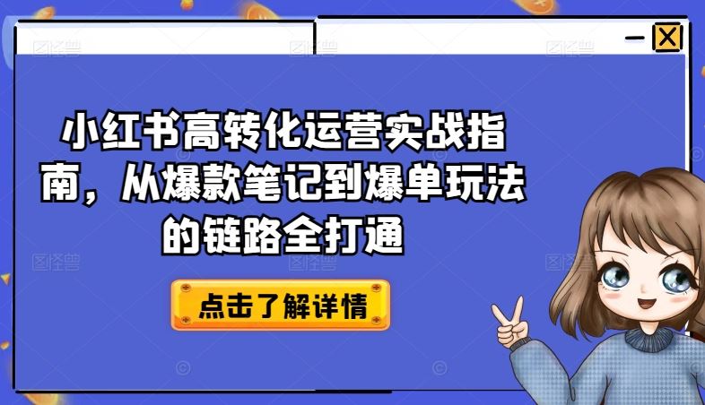 小红书高转化运营实战指南，从爆款笔记到爆单玩法的链路全打通-蓝天项目网