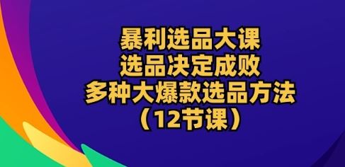 暴利选品大课：选品决定成败，教你多种大爆款选品方法(12节课)-蓝天项目网