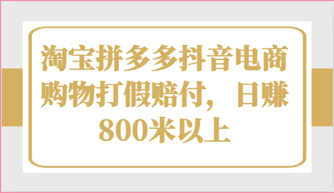 淘宝拼多多抖音电商购物打假赔付，日赚800米以上-蓝天项目网