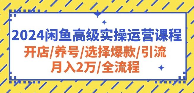 2024闲鱼高级实操运营课程：开店/养号/选择爆款/引流/月入2万/全流程-蓝天项目网