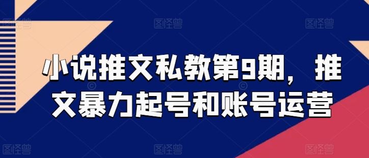 小说推文私教第9期，推文暴力起号和账号运营-蓝天项目网