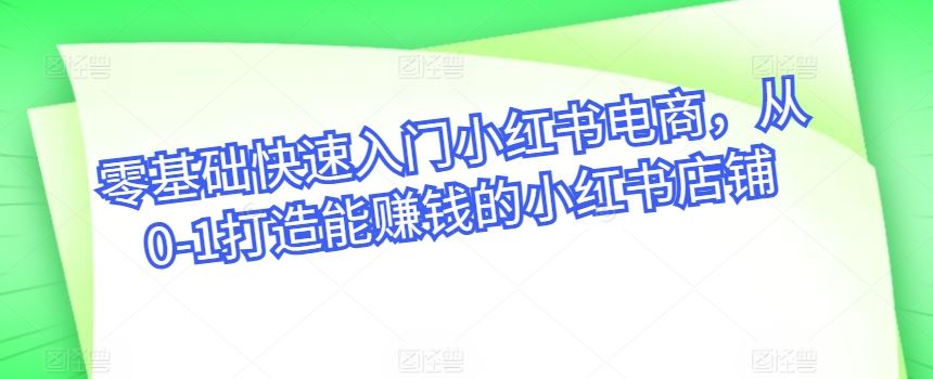 零基础快速入门小红书电商，从0-1打造能赚钱的小红书店铺-蓝天项目网