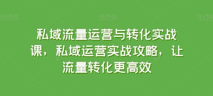 私域流量运营与转化实战课，私域运营实战攻略，让流量转化更高效-蓝天项目网