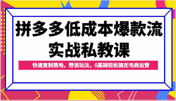 拼多多低成本爆款流实战私教课，快速复制落地，野派玩法，0基础轻松搞定电商运营-蓝天项目网