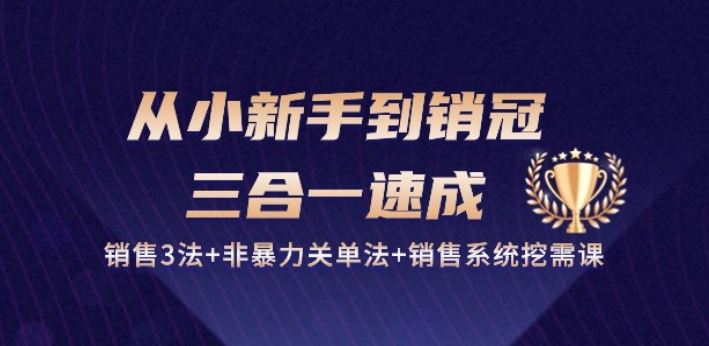 从小新手到销冠 三合一速成：销售3法+非暴力关单法+销售系统挖需课 (27节)-蓝天项目网