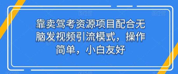 靠卖驾考资源项目配合无脑发视频引流模式，操作简单，小白友好【揭秘】-蓝天项目网