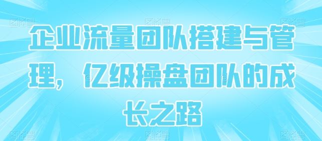 企业流量团队搭建与管理，亿级操盘团队的成长之路-蓝天项目网