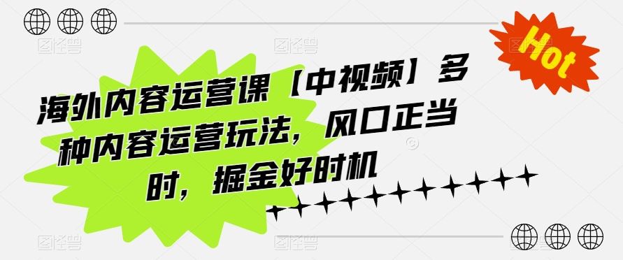 海外内容运营课【中视频】多种内容运营玩法，风口正当时，掘金好时机-蓝天项目网