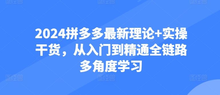 2024拼多多最新理论+实操干货，从入门到精通全链路多角度学习-蓝天项目网