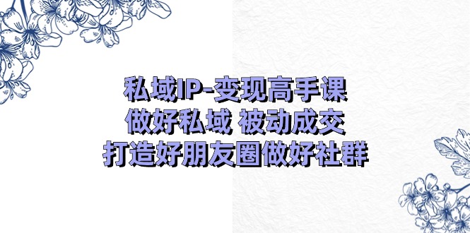 私域IP变现高手课：做好私域被动成交，打造好朋友圈做好社群（18节）-蓝天项目网