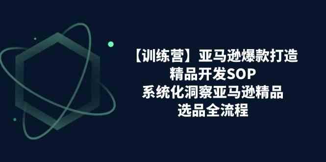 亚马逊爆款打造之精品开发SOP【训练营】，系统化洞察亚马逊精品选品全流程-蓝天项目网