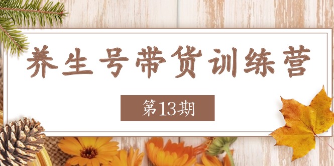 养生号带货训练营【第13期】收益更稳定的玩法，让你带货收益爆炸-蓝天项目网