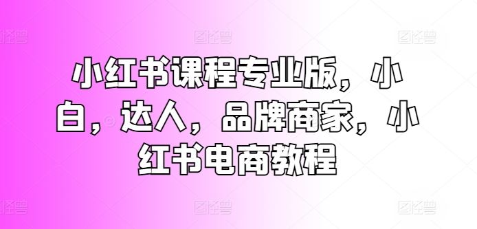 小红书课程专业版，小白，达人，品牌商家，小红书电商教程-蓝天项目网