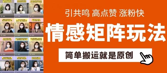 简单搬运，情感矩阵玩法，涨粉速度快，可带货，可起号【揭秘】-蓝天项目网