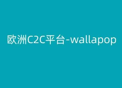 欧洲C2C平台-wallapop-kim跨境电商教程-蓝天项目网