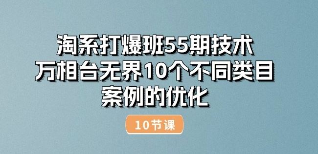 淘系打爆班55期技术：万相台无界10个不同类目案例的优化(10节)-蓝天项目网